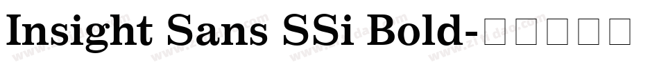 Insight Sans SSi Bold字体转换